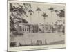 Codrington College, Barbadoes-null-Mounted Giclee Print