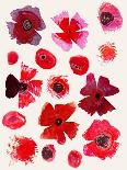 Language of Flowers B-Cody Alice Moore-Art Print