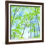 Codys Forest-Herb Dickinson-Framed Photographic Print