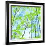 Codys Forest-Herb Dickinson-Framed Photographic Print