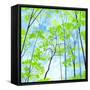 Codys Forest-Herb Dickinson-Framed Stretched Canvas