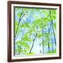 Codys Forest-Herb Dickinson-Framed Photographic Print