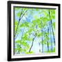 Codys Forest-Herb Dickinson-Framed Photographic Print