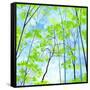 Codys Forest-Herb Dickinson-Framed Stretched Canvas