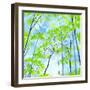 Codys Forest-Herb Dickinson-Framed Photographic Print