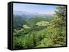 Coed Y Brennin Forest, Near Dolgellau, Snowdonia National Park, Gwynedd, Wales-Duncan Maxwell-Framed Stretched Canvas