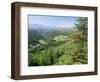 Coed Y Brennin Forest, Near Dolgellau, Snowdonia National Park, Gwynedd, Wales-Duncan Maxwell-Framed Photographic Print