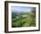 Coed Y Brennin Forest, Near Dolgellau, Snowdonia National Park, Gwynedd, Wales-Duncan Maxwell-Framed Photographic Print