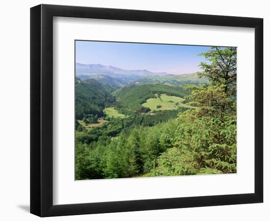 Coed Y Brennin Forest, Near Dolgellau, Snowdonia National Park, Gwynedd, Wales-Duncan Maxwell-Framed Photographic Print