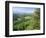 Coed Y Brennin Forest, Near Dolgellau, Snowdonia National Park, Gwynedd, Wales-Duncan Maxwell-Framed Photographic Print