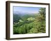 Coed Y Brennin Forest, Near Dolgellau, Snowdonia National Park, Gwynedd, Wales-Duncan Maxwell-Framed Photographic Print