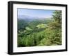 Coed Y Brennin Forest, Near Dolgellau, Snowdonia National Park, Gwynedd, Wales-Duncan Maxwell-Framed Photographic Print