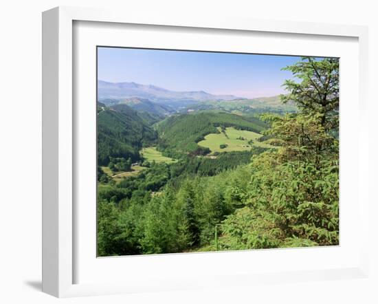 Coed Y Brennin Forest, Near Dolgellau, Snowdonia National Park, Gwynedd, Wales-Duncan Maxwell-Framed Photographic Print