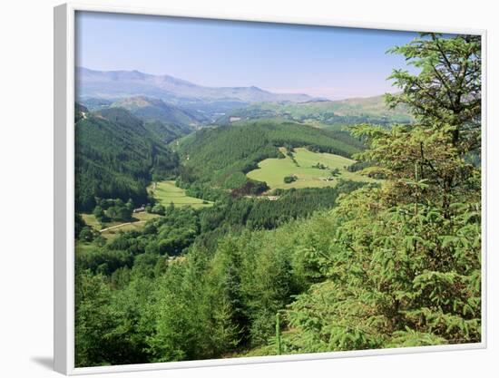 Coed Y Brennin Forest, Near Dolgellau, Snowdonia National Park, Gwynedd, Wales-Duncan Maxwell-Framed Photographic Print