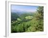 Coed Y Brennin Forest, Near Dolgellau, Snowdonia National Park, Gwynedd, Wales-Duncan Maxwell-Framed Photographic Print