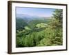 Coed Y Brennin Forest, Near Dolgellau, Snowdonia National Park, Gwynedd, Wales-Duncan Maxwell-Framed Photographic Print