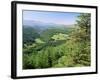 Coed Y Brennin Forest, Near Dolgellau, Snowdonia National Park, Gwynedd, Wales-Duncan Maxwell-Framed Photographic Print