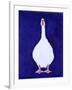 Coedwynog Goose, 2000-Jacob Sutton-Framed Giclee Print