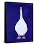 Coedwynog Goose, 2000-Jacob Sutton-Framed Stretched Canvas