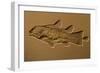 Coelacanth Fossil Germany-null-Framed Photographic Print