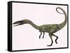 Coelophysis Bauri Dinosaur from the Triassic Period-null-Framed Stretched Canvas