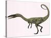 Coelophysis Bauri Dinosaur from the Triassic Period-null-Stretched Canvas