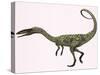 Coelophysis Bauri Dinosaur from the Triassic Period-null-Stretched Canvas