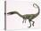 Coelophysis Bauri Dinosaur from the Triassic Period-null-Stretched Canvas