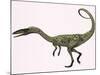 Coelophysis Bauri Dinosaur from the Triassic Period-null-Mounted Art Print