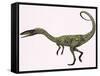 Coelophysis Bauri Dinosaur from the Triassic Period-null-Framed Stretched Canvas