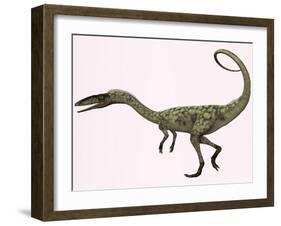 Coelophysis Bauri Dinosaur from the Triassic Period-null-Framed Art Print