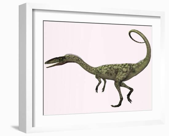 Coelophysis Bauri Dinosaur from the Triassic Period-null-Framed Art Print