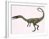 Coelophysis Bauri Dinosaur from the Triassic Period-null-Framed Art Print