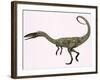 Coelophysis Bauri Dinosaur from the Triassic Period-null-Framed Art Print