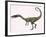 Coelophysis Bauri Dinosaur from the Triassic Period-null-Framed Art Print