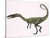 Coelophysis Bauri Dinosaur from the Triassic Period-null-Stretched Canvas