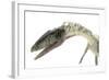 Coelophysis Close-Up-Stocktrek Images-Framed Art Print