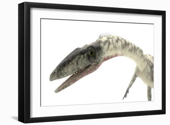 Coelophysis Close-Up-Stocktrek Images-Framed Art Print