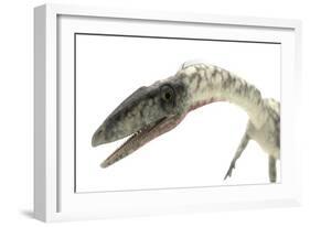 Coelophysis Close-Up-Stocktrek Images-Framed Art Print