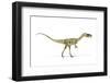 Coelophysis Dinosaur, Artwork-null-Framed Photographic Print