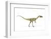 Coelophysis Dinosaur, Artwork-null-Framed Photographic Print