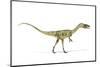 Coelophysis Dinosaur, Artwork-null-Mounted Photographic Print