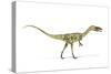 Coelophysis Dinosaur, Artwork-null-Stretched Canvas