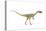 Coelophysis Dinosaur, Artwork-null-Stretched Canvas