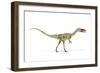 Coelophysis Dinosaur, Artwork-null-Framed Photographic Print