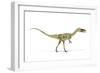 Coelophysis Dinosaur, Artwork-null-Framed Photographic Print