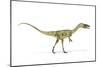 Coelophysis Dinosaur, Artwork-null-Mounted Photographic Print