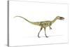 Coelophysis Dinosaur, Artwork-null-Stretched Canvas