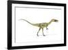 Coelophysis Dinosaur, Artwork-null-Framed Photographic Print