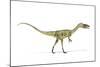 Coelophysis Dinosaur, Artwork-null-Mounted Photographic Print